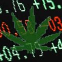 Trading CFDs on Medical Marijuana