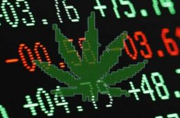 Trading CFDs on Medical Marijuana